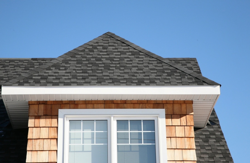 The roof of a home